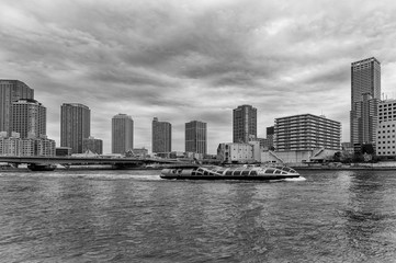 Fototapeta premium 隅田川の景色