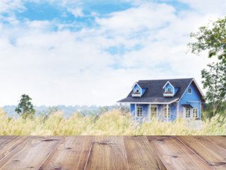 Fototapeta na wymiar Blue summer country house in the wild grass field