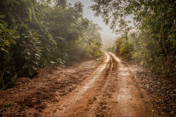 Obraz premium Estrada rural brasileira