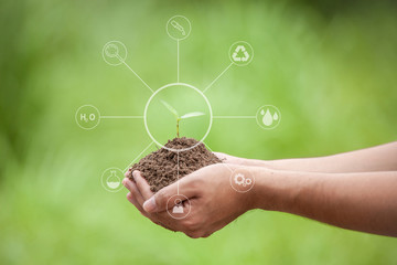seedlings are growing from fertile soil in the hands along with various icons
