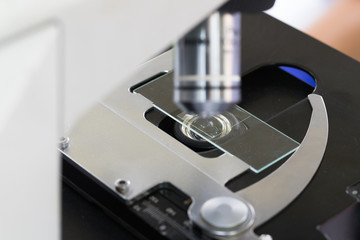 Close up of Microscopes in Laboratory	