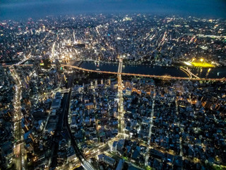 aerial view of the Tokyo
