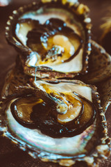 Tahitian Pearl Farm