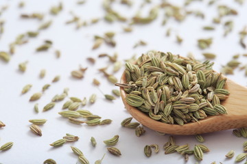 Image of fennel (herb)
