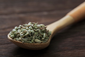 Image of fennel (herb)