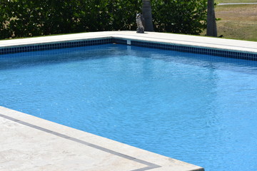 pool water waves summer