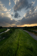 夕陽と獣道とビル群