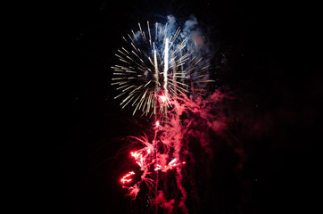 Fireworks in Red, White, and Blue