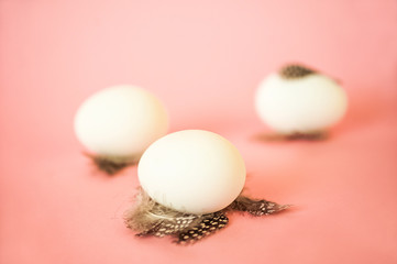 Egg and feathers on a pink background close-up and copy space. Easter concept with egg and feathers.