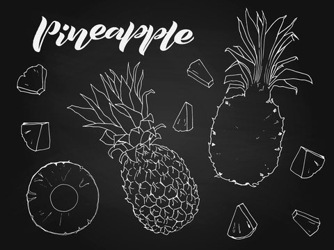 Vector white illustration of pineapple, circles and pieces on black background. Set of exotic fruit ananas for design with chalk board effect. Design element for label, menu, advertising