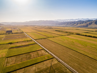 Yellow field and blue sky. The pastoral landscape. The countryside colorful background，Xinjiang,...
