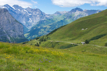 Fototapeta na wymiar Swiss mountains