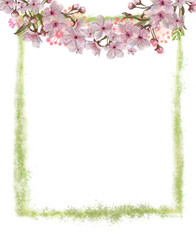 Sakura Wreath Decorated Green Frame Isolated on White Background. Floral Design for Print, Greeting Card, Poster, Banner, Invitation, etc.