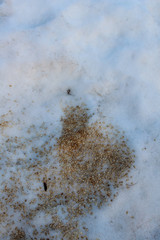 oats on snow