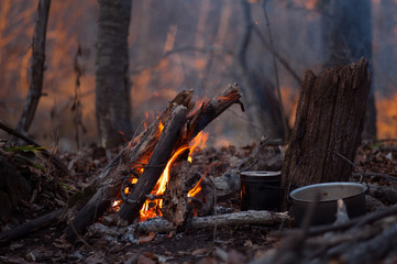 warm cosy bonfire in forest, campfire - 257802086