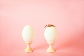 Egg and feathers on a pink background close-up and copy space. Easter concept with egg and feathers.