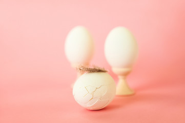 Egg and feathers on a pink background close-up and copy space. Easter concept with egg and feathers.