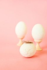 Egg and feathers on a pink background close-up and copy space. Easter concept with egg and feathers.