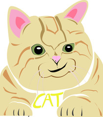 vector image of big cat