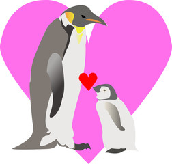 vector image of penguin