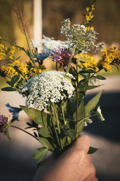 Hand holding colorful flowers