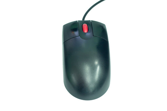 computer mouse isolated on white background