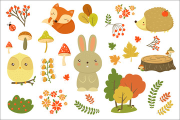 Autumn forest elements set, forest animals, leaves, flowers, mushrooms cartoon vector Illustrations on a white background