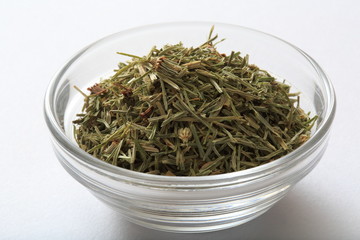  Image of herb horsetail