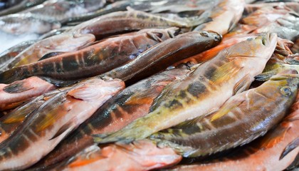 Fresh fish at the market in Funchal