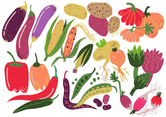 Vegetables Set, Healthy Nutrition Food, Carrot, Potato, Pepper, Radish, Eggplant, Corn, Pumpkin, Artichoke Vector Illustration