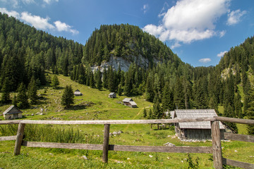 mountain pasture Jezero in Bohinj