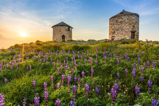 Windmill and spring flowers in Fourni island, Greece. 