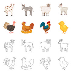 Vector design of breeding and kitchen  icon. Set of breeding and organic  stock vector illustration.