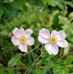 Únicas ante el mundo