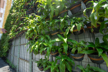 green vertical garden