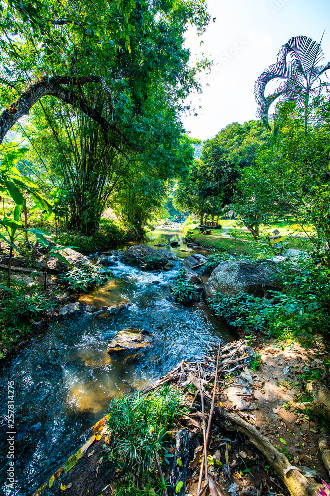 Canvas Prints Mountain stream in Chiangmai province