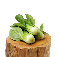 Pok Choi on white background