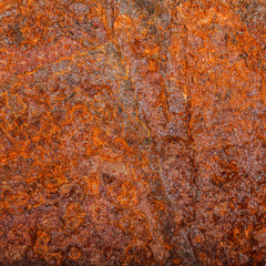 sheet of rusty metal. old oxidized background