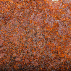 sheet of rusty metal. old oxidized background