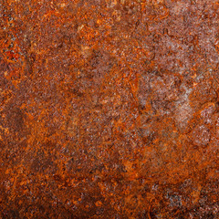 sheet of rusty metal. old oxidized background