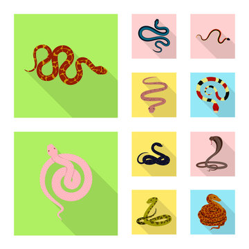 Isolated object of skin and reptile logo. Collection of skin and danger vector icon for stock.