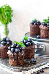 Chocolate Muffins with Chocolate and Blueberries