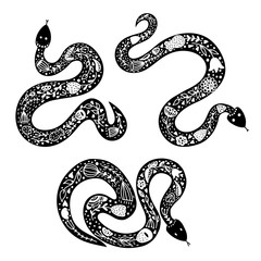 Obraz premium Set of three snakes in scandinavian style on white background.