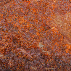 sheet of rusty metal. old oxidized background