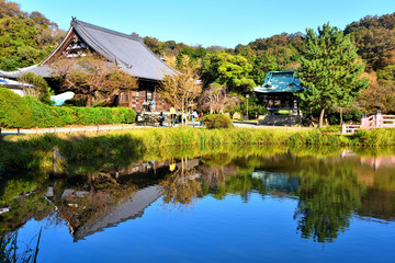 Fototapeta na wymiar 快晴で池に映る称名寺