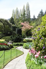 Obraz premium 華の庭園 ビクトリア Gardens Victoria