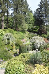 Fototapeta na wymiar 華の庭園　ビクトリア　Gardens　Victoria
