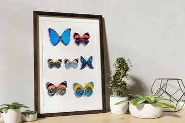 Frame mock up with plants on a shelf - 3d rendering