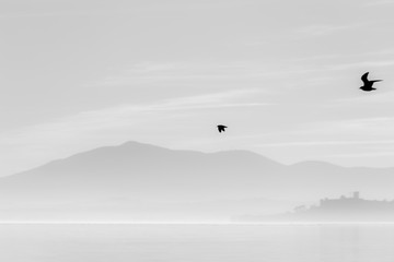 Beautiful view of Trasimeno lake at sunset with birds on water and Castiglione del Lago town