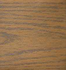 Natural wood cut. Background, texture. Close up shot.